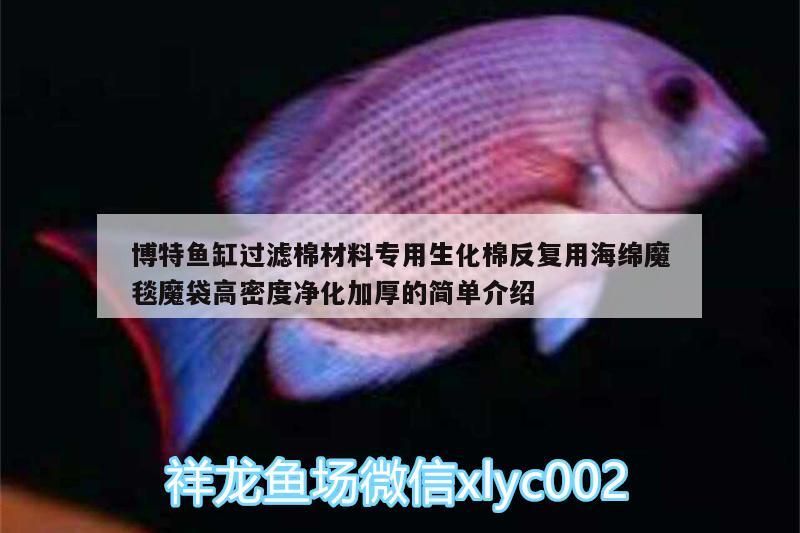 博特魚缸過濾棉材料專用生化棉反復用海綿魔毯魔袋高密度凈化加厚的簡單介紹