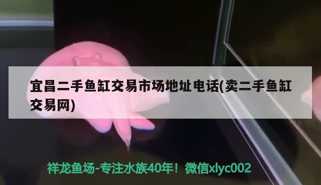 宜昌二手魚缸交易市場(chǎng)地址電話(賣二手魚缸交易網(wǎng))