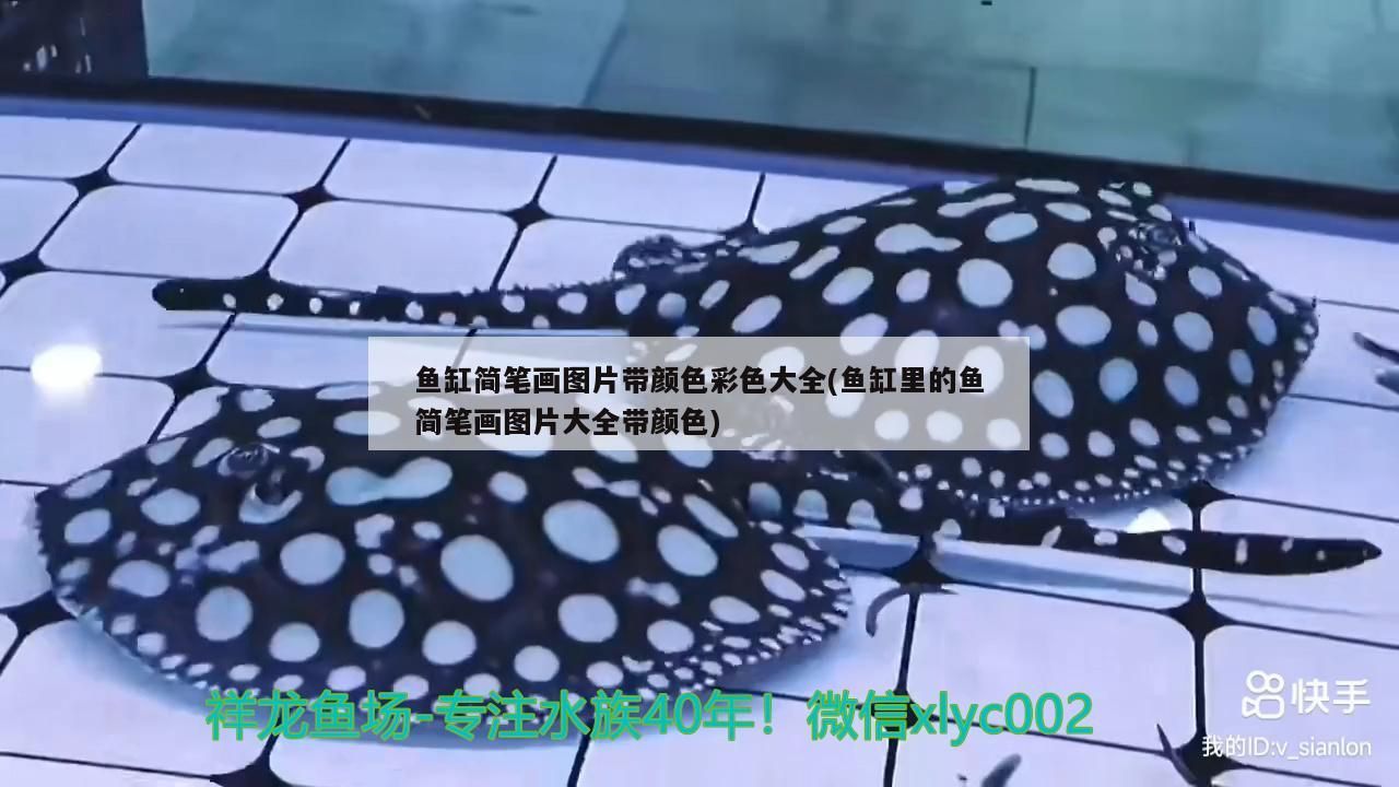 魚缸簡筆畫圖片帶顏色彩色大全(魚缸里的魚簡筆畫圖片大全帶顏色) 魚缸簡筆畫圖片帶顏色彩色大全(魚缸里的魚簡筆畫圖片大全帶顏色) 黃金貓魚百科