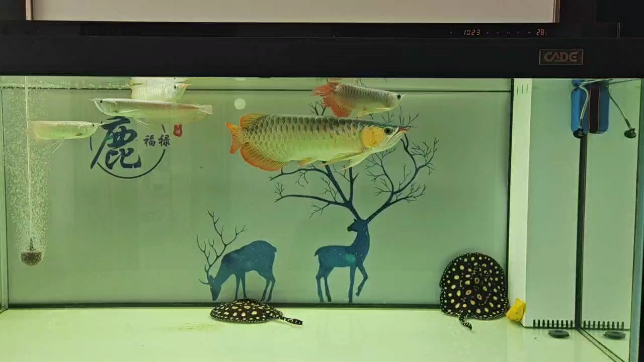 煎熬