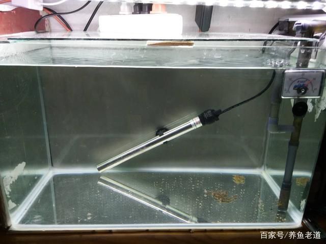 8毫米厚的玻璃能做多大的魚缸用呢：8毫米厚的玻璃在制作魚缸時可能會有一定局限性 8毫米厚的玻璃能做多大的魚缸用呢：8毫米厚的玻璃在制作魚缸時可能會有一定局限性 魚缸百科 第4張