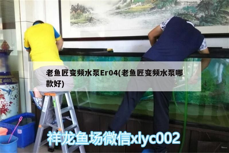 老魚(yú)匠變頻水泵Er04(老魚(yú)匠變頻水泵哪款好)