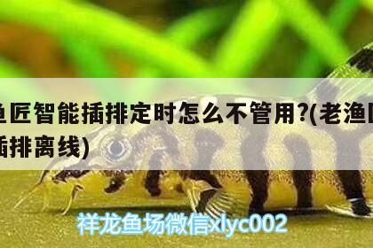 老魚匠智能插排定時怎么不管用?(老漁匠智能插排離線) 老魚匠智能插排定時怎么不管用?(老漁匠智能插排離線) 老魚匠