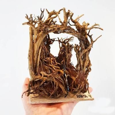 502膠能用在魚缸內嗎？：502膠水在魚缸中的使用 502膠能用在魚缸內嗎？：502膠水在魚缸中的使用 魚缸百科 第3張