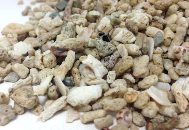 60金魚缸用什么過濾:關(guān)于金魚缸過濾器的幾個(gè)問題 魚缸百科 第3張 60金魚缸用什么過濾:關(guān)于金魚缸過濾器的幾個(gè)問題 60金魚缸用什么過濾:關(guān)于金魚缸過濾器的幾個(gè)問題 魚缸百科 第3張