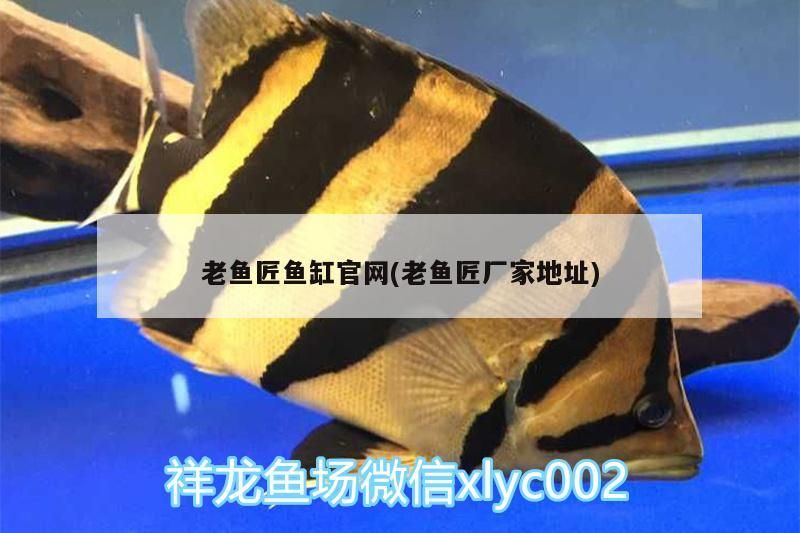老魚匠魚缸官網(老魚匠廠家地址) 老魚匠魚缸官網(老魚匠廠家地址) 老魚匠