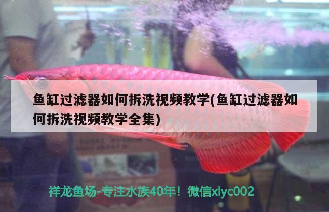 魚缸 魚缸過濾器如何拆洗視頻教學(魚缸過濾器如何拆洗視頻教學全集) 黃金貓魚百科 魚缸過濾器如何拆洗視頻教學(魚缸過濾器如何拆洗視頻教學全集) 魚缸過濾器如何拆洗視頻教學(魚缸過濾器如何拆洗視頻教學全集) 黃金貓魚百科