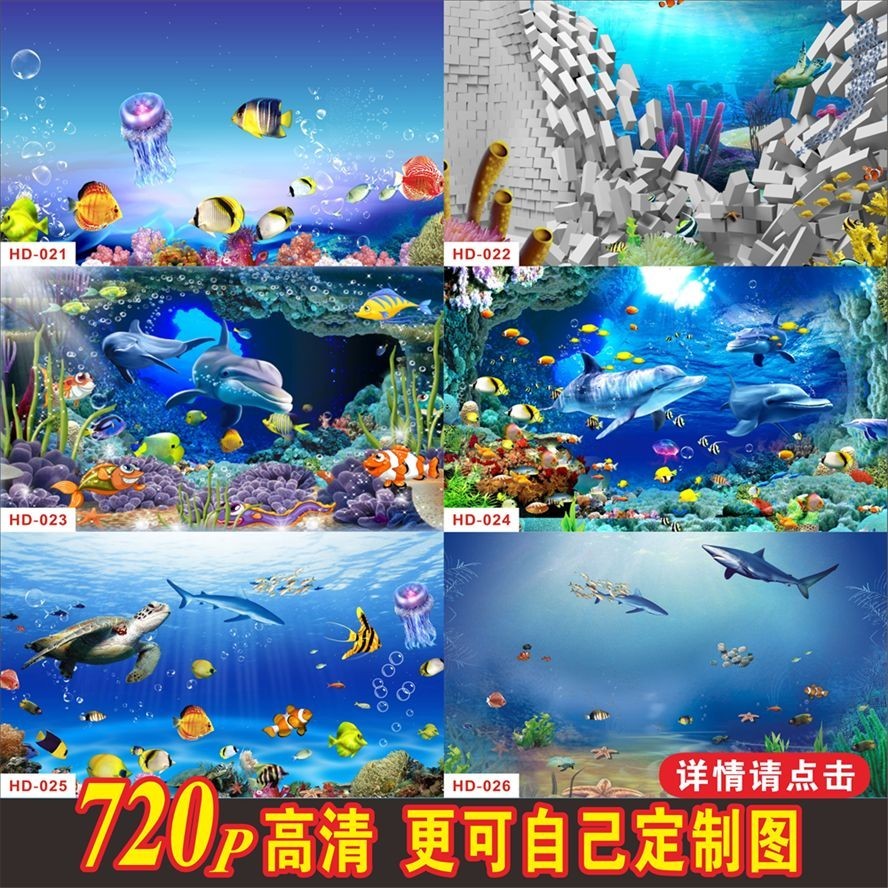 80x80x40魚缸：80x80x40的魚缸是一個(gè)大型的矩形觀賞魚缸