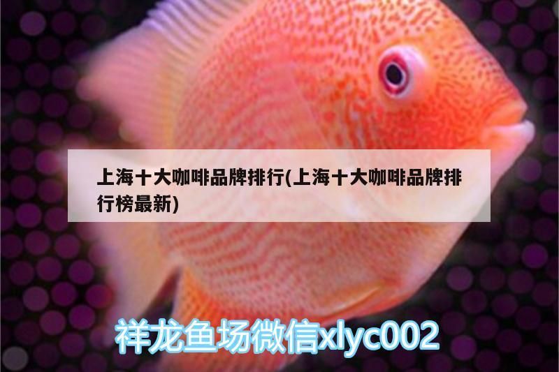 上海十大咖啡品牌排行(上海十大咖啡品牌排行榜最新) 馬來西亞咖啡 上海十大咖啡品牌排行(上海十大咖啡品牌排行榜最新) 上海十大咖啡品牌排行(上海十大咖啡品牌排行榜最新) 馬來西亞咖啡