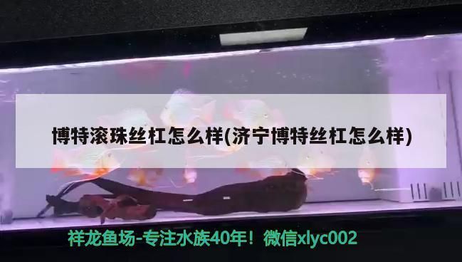 博特滾珠絲杠怎么樣(濟(jì)寧博特絲杠怎么樣) 博特滾珠絲杠怎么樣(濟(jì)寧博特絲杠怎么樣) 博特水族