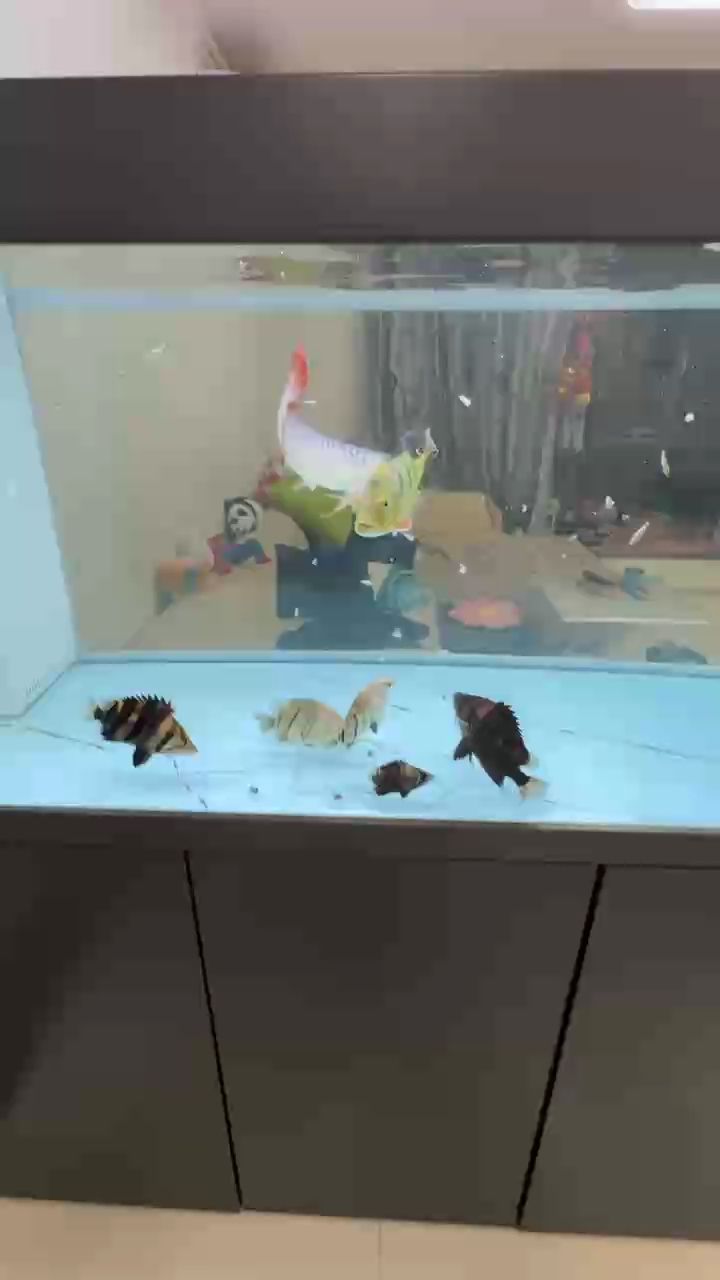 食欲很足么