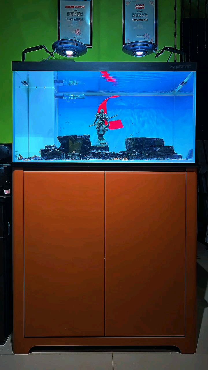 水族燈 新開缸,真爽! 龍魚論壇 新開缸,真爽! 新開缸,真爽! 龍魚論壇