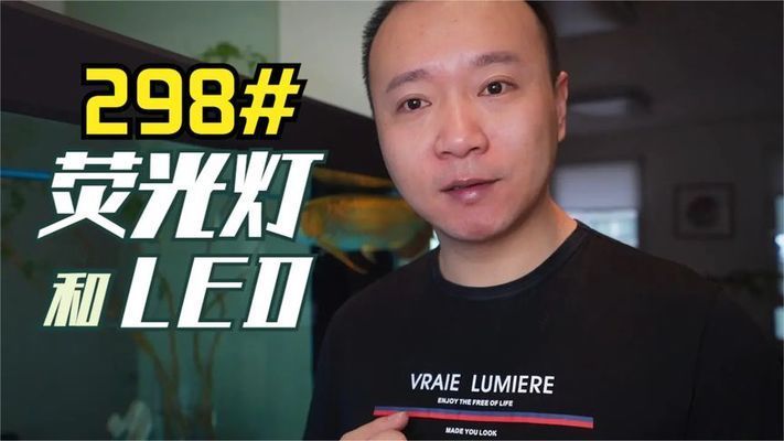 龍魚突然在缸里亂竄，原因分析與應對策略，龍魚缸內異常亂竄的原因解析及緊急處理方案，龍魚缸內突發亂竄的原因解析與緊急應對指南