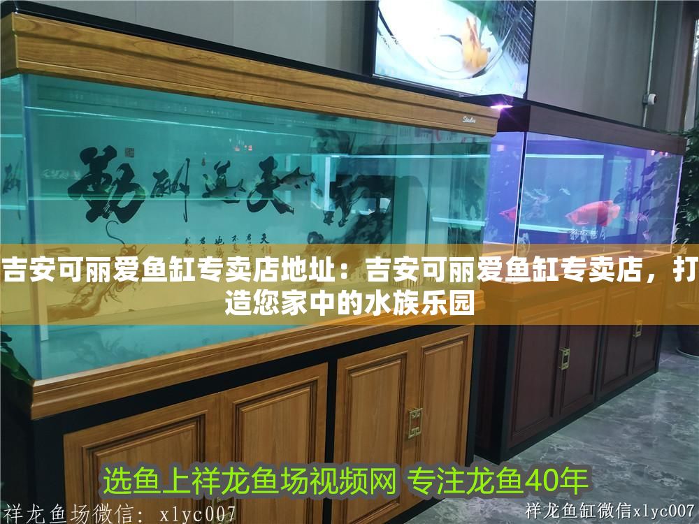 吉安可麗愛魚缸專賣店地址:吉安可麗愛魚缸專賣店,打造您家中的水族樂園 iwish愛唯希品牌魚缸 第1張 吉安可麗愛魚缸專賣店地址:吉安可麗愛魚缸專賣店,打造您家中的水族樂園 吉安可麗愛魚缸專賣店地址:吉安可麗愛魚缸專賣店,打造您家中的水族樂園 iwish愛唯希品牌魚缸 第1張