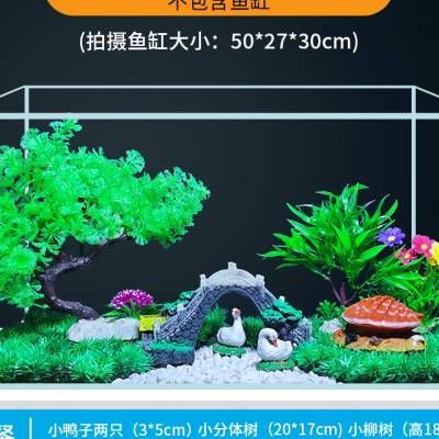 5厘米的魚需要多大的魚缸：關于魚缸尺寸的問答