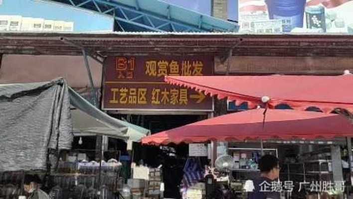 龍魚跳缸掉鱗片怎么辦？原因分析與全面解決方案，龍魚跳缸掉鱗片的原因與解決方法全解析，龍魚跳缸掉鱗片的原因與解決方法全解析 龍魚跳缸掉鱗片怎么辦？原因分析與全面解決方案，龍魚跳缸掉鱗片的原因與解決方法全解析，龍魚跳缸掉鱗片的原因與解決方法全解析 龍魚百科 第3張