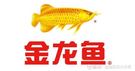 金龍魚專用飼料購買渠道：金龍魚專用飼料品牌排行,金龍魚專用飼料營養價值指南