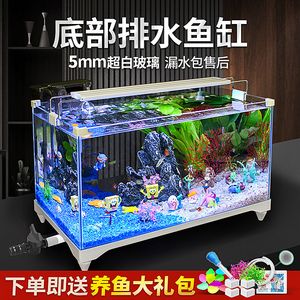龍魚死了應該葬在哪，一份深情的告別指南，龍魚離世后的安葬指南，如何深情告別你的水中伙伴，深情告別指南，龍魚離世后的安葬與悼念方式