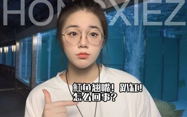魟魚翹嘴拒食的原因 魟魚翹嘴拒食的原因 魟魚百科 第1張