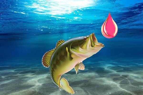 龍魚三間最忌諱的三大生肖，龍魚三間最忌諱的三大生肖，養魚風水必看！龍魚三間最忌諱的三大生肖，養魚風水必看！