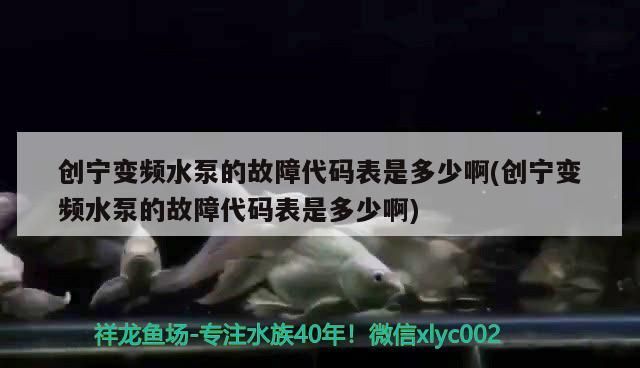 觀賞魚 創(chuàng)寧變頻水泵的故障代碼表是多少啊(創(chuàng)寧變頻水泵的故障代碼表是多少啊) 創(chuàng)寧水族 創(chuàng)寧變頻水泵的故障代碼表是多少啊(創(chuàng)寧變頻水泵的故障代碼表是多少啊) 創(chuàng)寧變頻水泵的故障代碼表是多少啊(創(chuàng)寧變頻水泵的故障代碼表是多少啊) 創(chuàng)寧水族