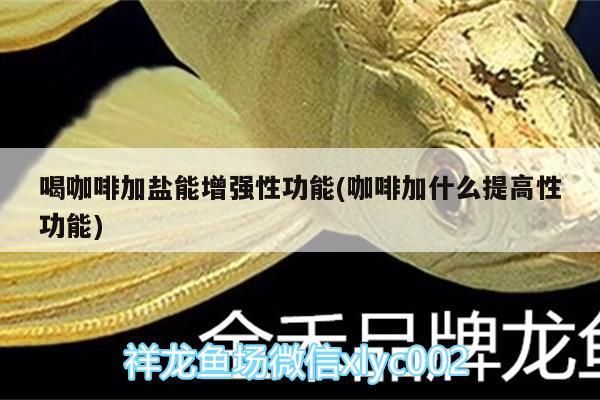 喝咖啡加鹽能增強性功能(咖啡加什么提高性功能)
