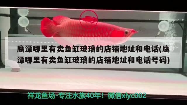 鷹潭哪里有賣魚缸玻璃的店鋪地址和電話(鷹潭哪里有賣魚缸玻璃的店鋪地址和電話號碼) 鷹潭哪里有賣魚缸玻璃的店鋪地址和電話(鷹潭哪里有賣魚缸玻璃的店鋪地址和電話號碼) 觀賞魚百科