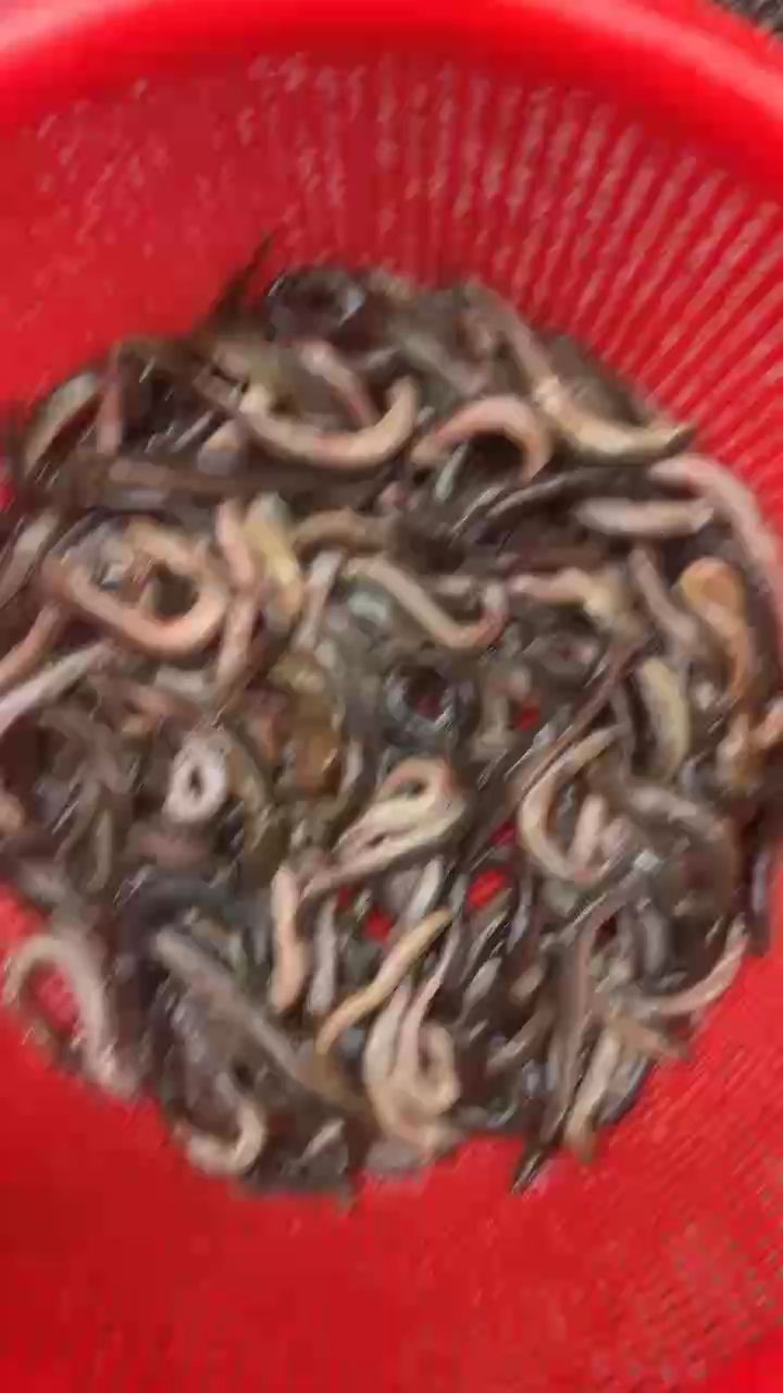質(zhì)量表得否