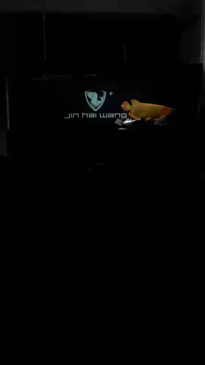 天冷了 兄弟上燈了 天冷了 兄弟上燈了 龍魚論壇