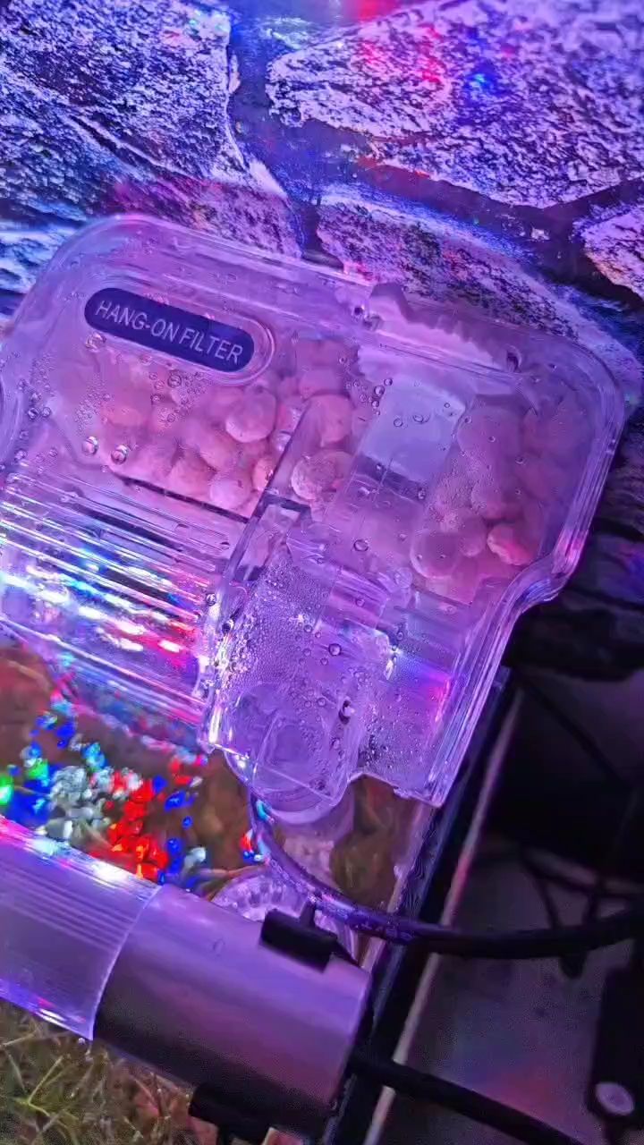 哈哈過濾 哈哈過濾 龍魚論壇