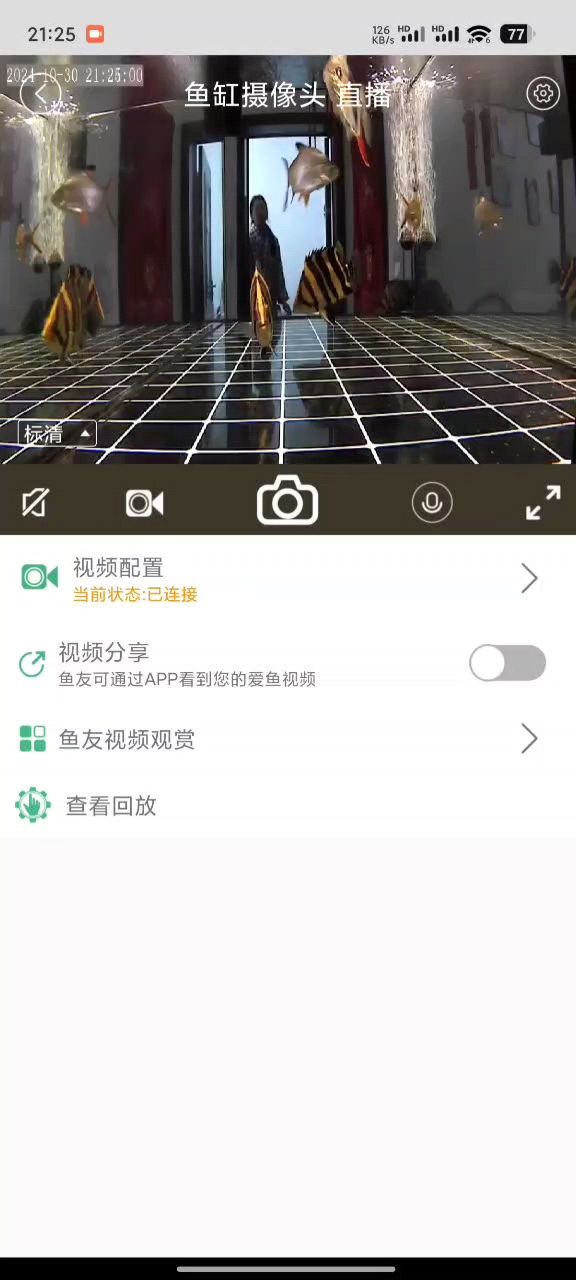 開始開燈，適應(yīng)燈光，時黑時明，喂食狀態(tài)有所下降 開始開燈，適應(yīng)燈光，時黑時明，喂食狀態(tài)有所下降 龍魚論壇