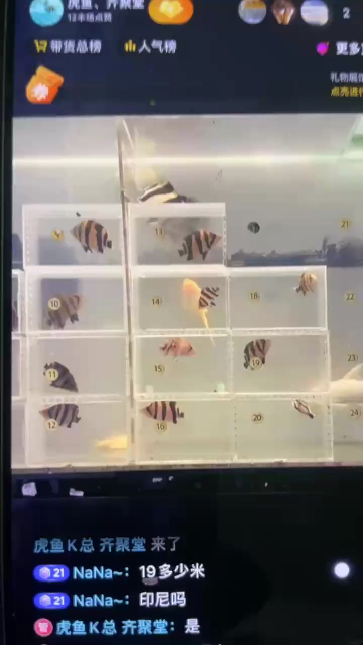 狀態扛杠