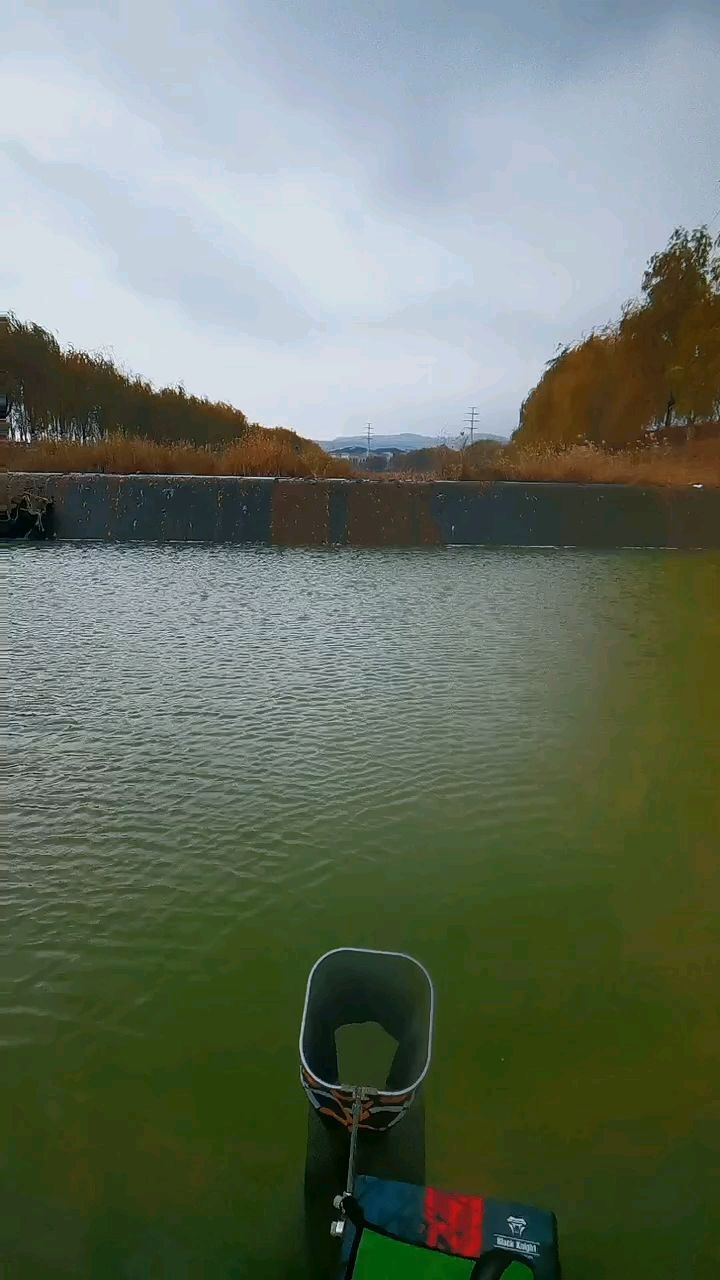 魚缸過濾器選購指南:自制魚缸過濾器魚缸上置過濾器對于養(yǎng)魚愛好者的必備知識 繼續(xù) 龍魚論壇 繼續(xù) 繼續(xù) 龍魚論壇