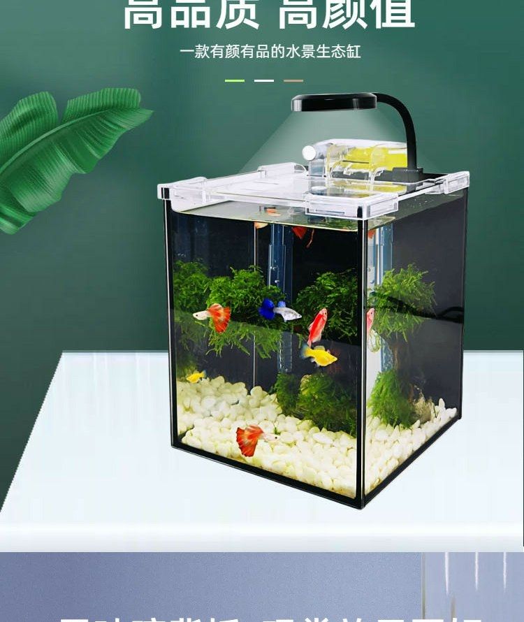 小魚缸斗魚缸