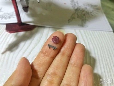 龍魚掉尾可以恢復么?原因分析與恢復方法詳解 龍魚百科 第3張 龍魚掉尾可以恢復么?原因分析與恢復方法詳解 龍魚掉尾可以恢復么?原因分析與恢復方法詳解 龍魚百科 第3張