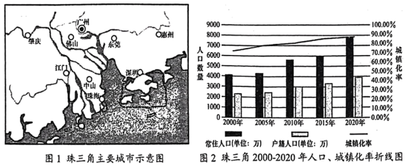 龍魚之美，從風水靈物到藝術收藏的千年傳奇