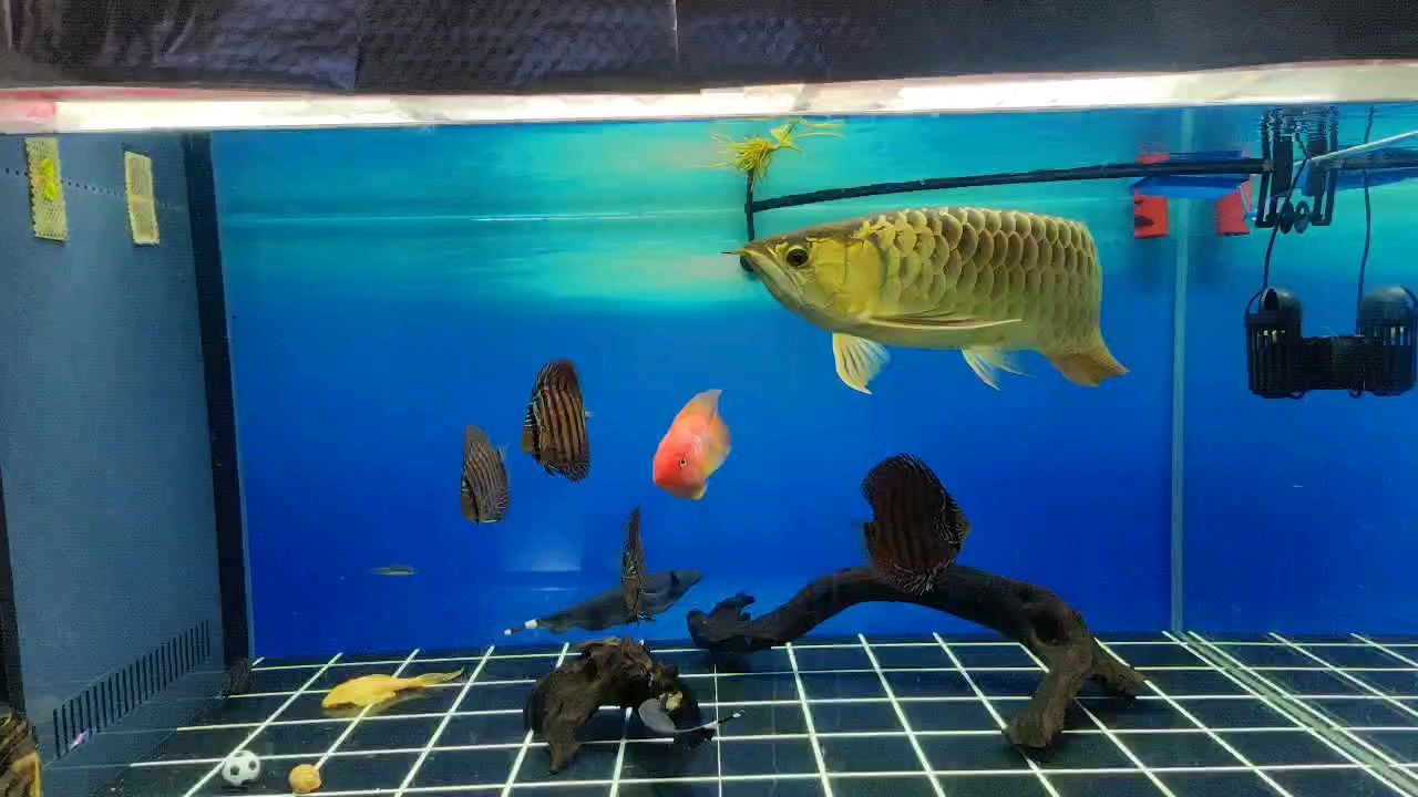 去掉隔板，空間大了