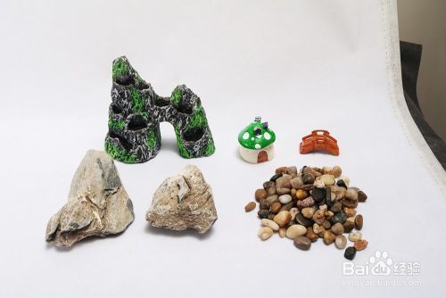 龍魚的天敵，生存威脅與防護策略