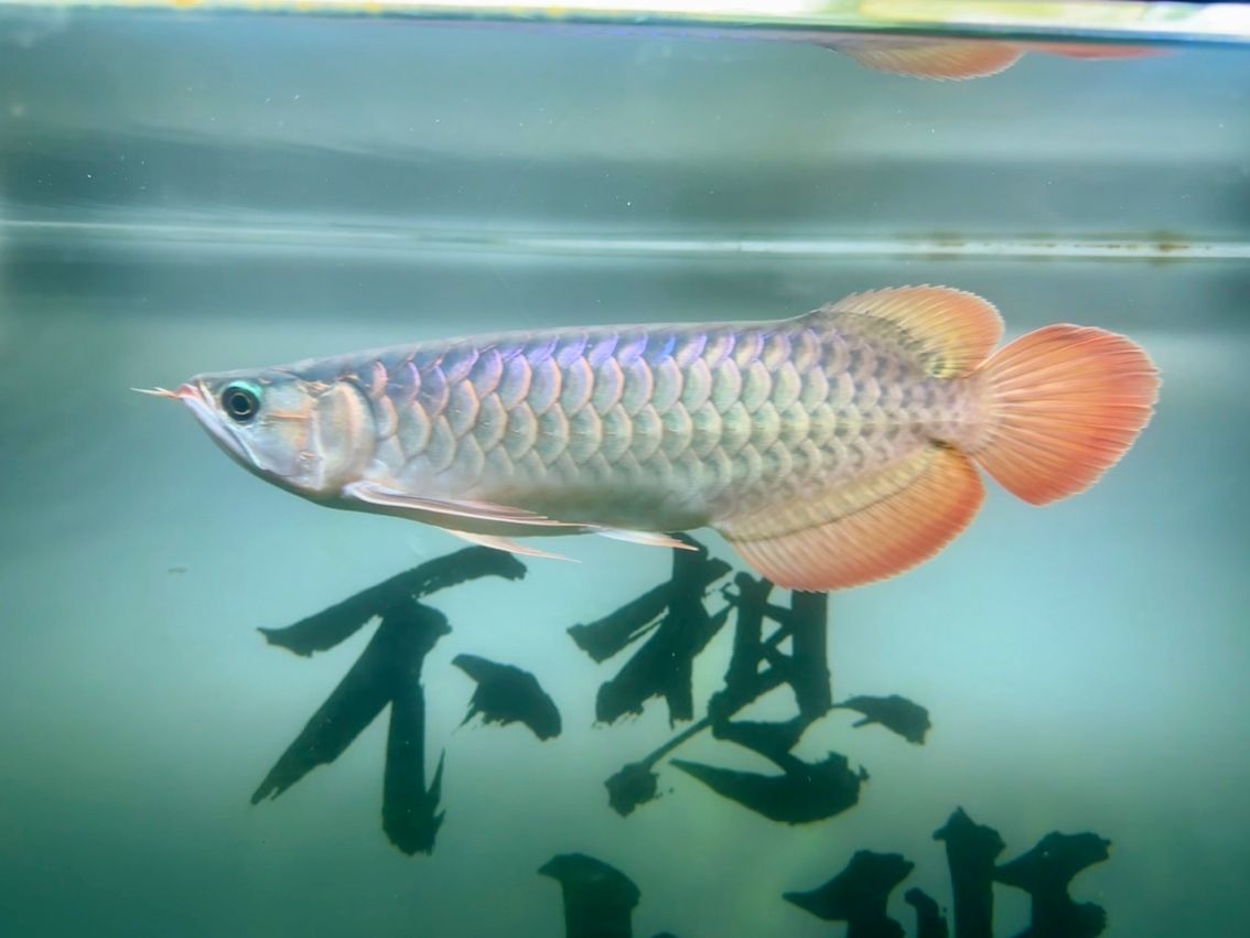 變化倒是挺大的…