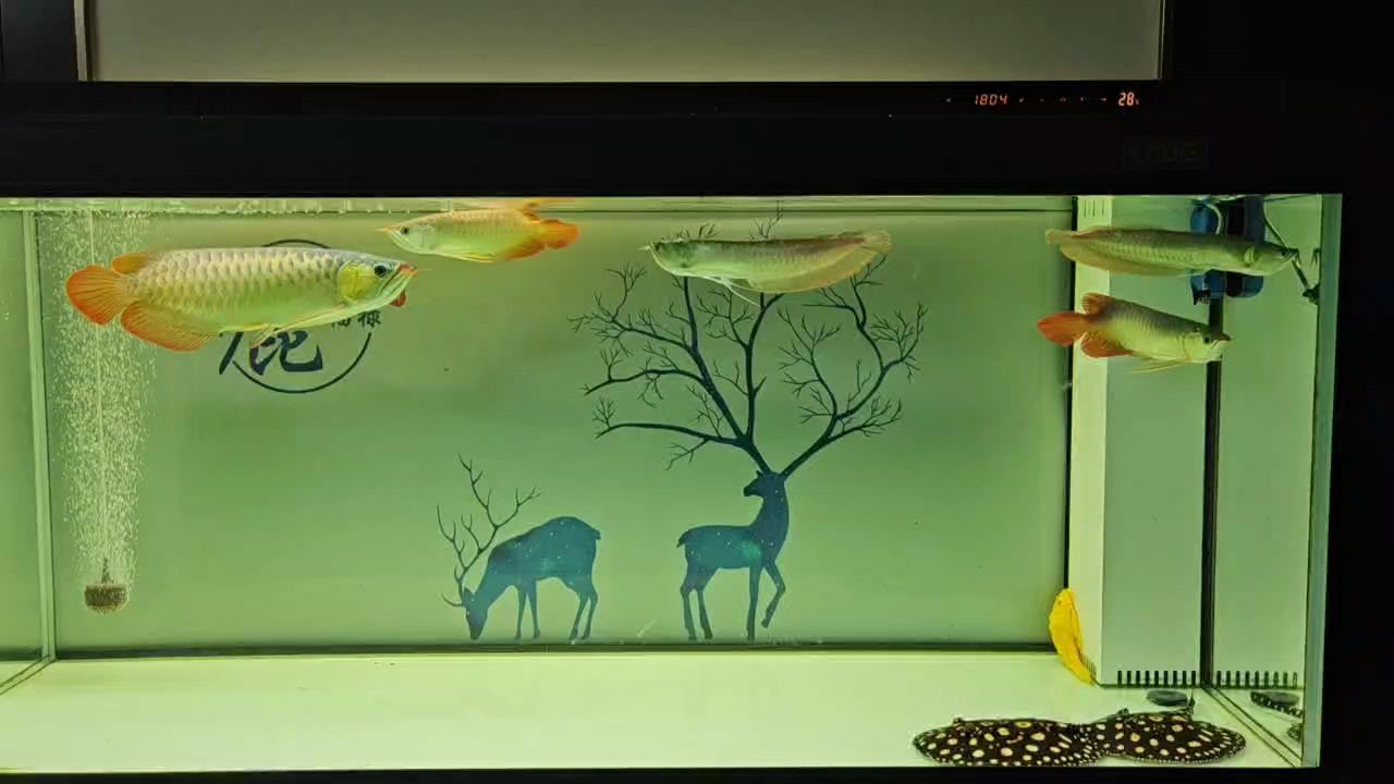 心疼…