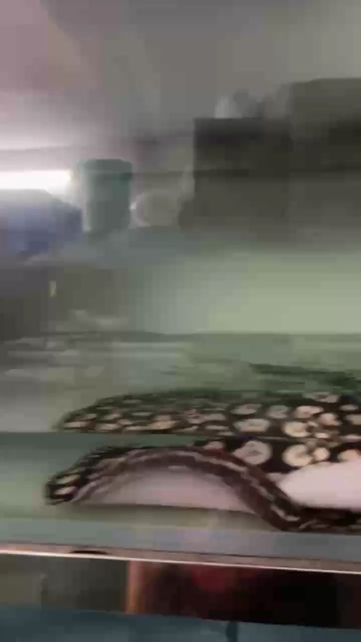 換水日