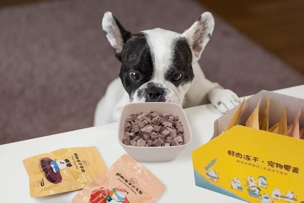 龍魚不吃食一個月就掛了是什么原因？深度解析與應對策略