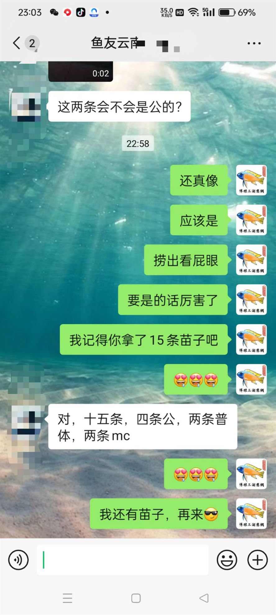 養魚不是只有燒錢賠錢，也是能賺錢的！ 養魚不是只有燒錢賠錢，也是能賺錢的！ 龍魚論壇 第1張