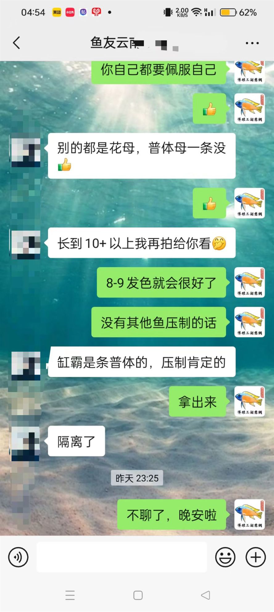 養魚不是只有燒錢賠錢，也是能賺錢的！ 養魚不是只有燒錢賠錢，也是能賺錢的！ 龍魚論壇 第2張