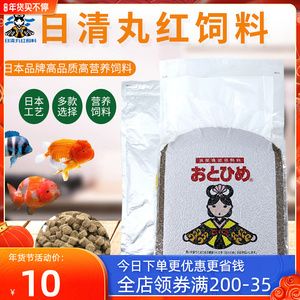 龍頭地為什么不能起房子，風水禁忌與科學解釋
