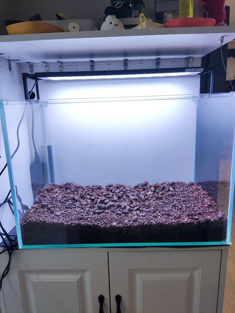 我想問問大神這樣配置的魚缸可以嗎 我想問問大神這樣配置的魚缸可以嗎 龍魚論壇 第3張