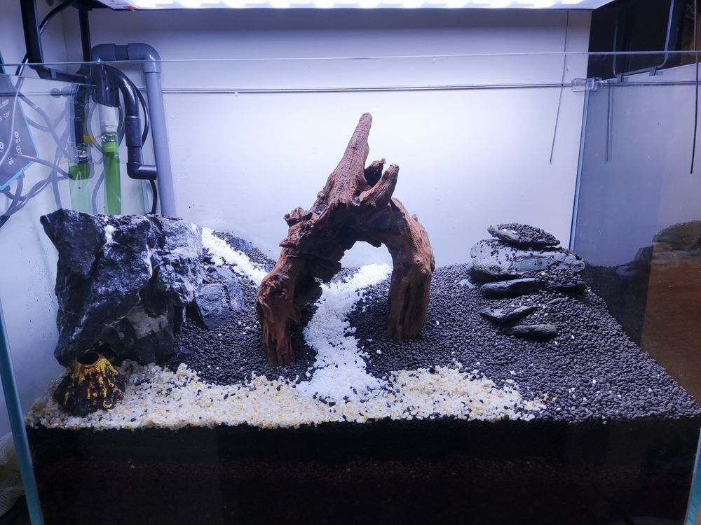 我想問問大神這樣配置的魚缸可以嗎 我想問問大神這樣配置的魚缸可以嗎 龍魚論壇 第4張