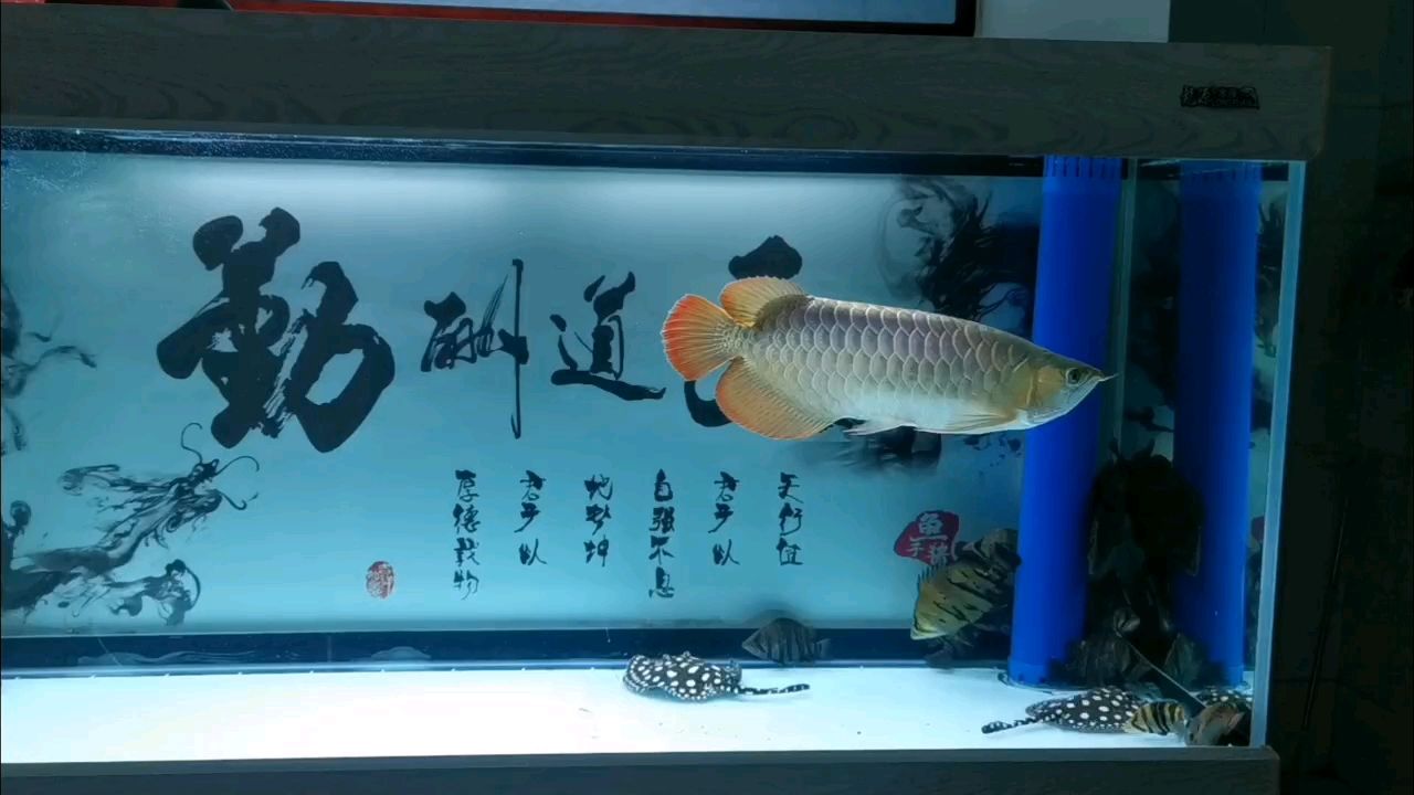 時隔一年，我又回來了