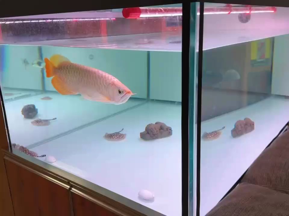 簡(jiǎn)單粗暴
