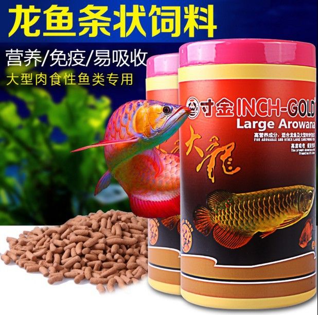 龍睛魚眼睛掉了怎么辦？原因分析與救治指南 龍睛魚眼睛掉了怎么辦？原因分析與救治指南 龍魚百科 第2張
